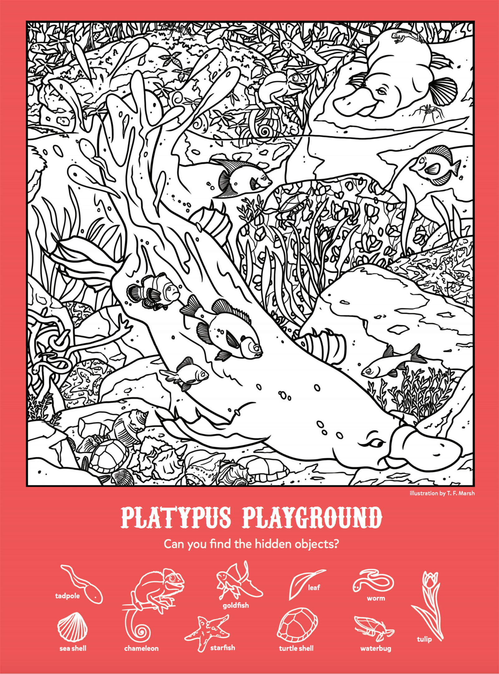 Platypus Playground