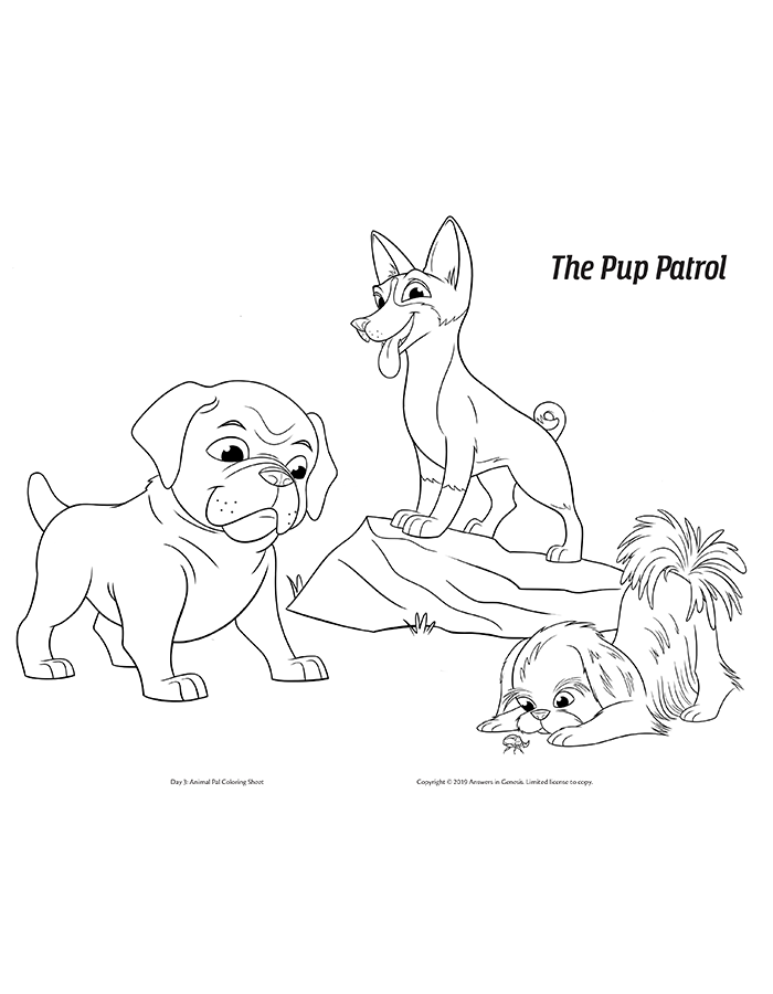 The Pup Patrol