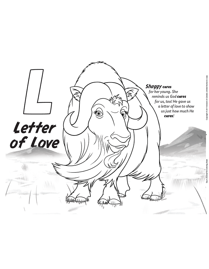 Download Shaggy the Musk Ox (Kids Coloring Activity) | Kids Answers