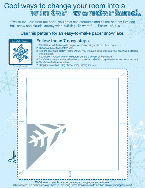 KA v2n1 snowflake craft