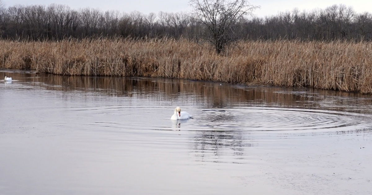 Presqu’ile Provincial Park