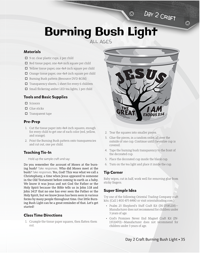 Burning Bush Light