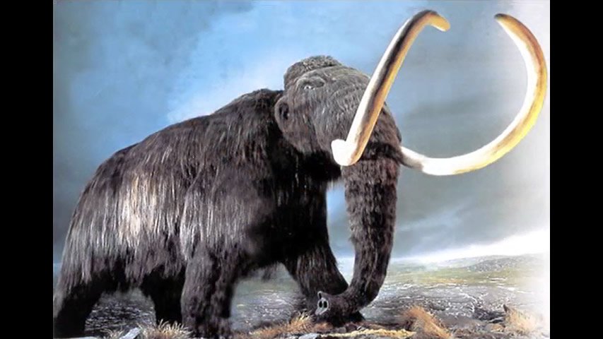 The Mammoth and the Ice Age