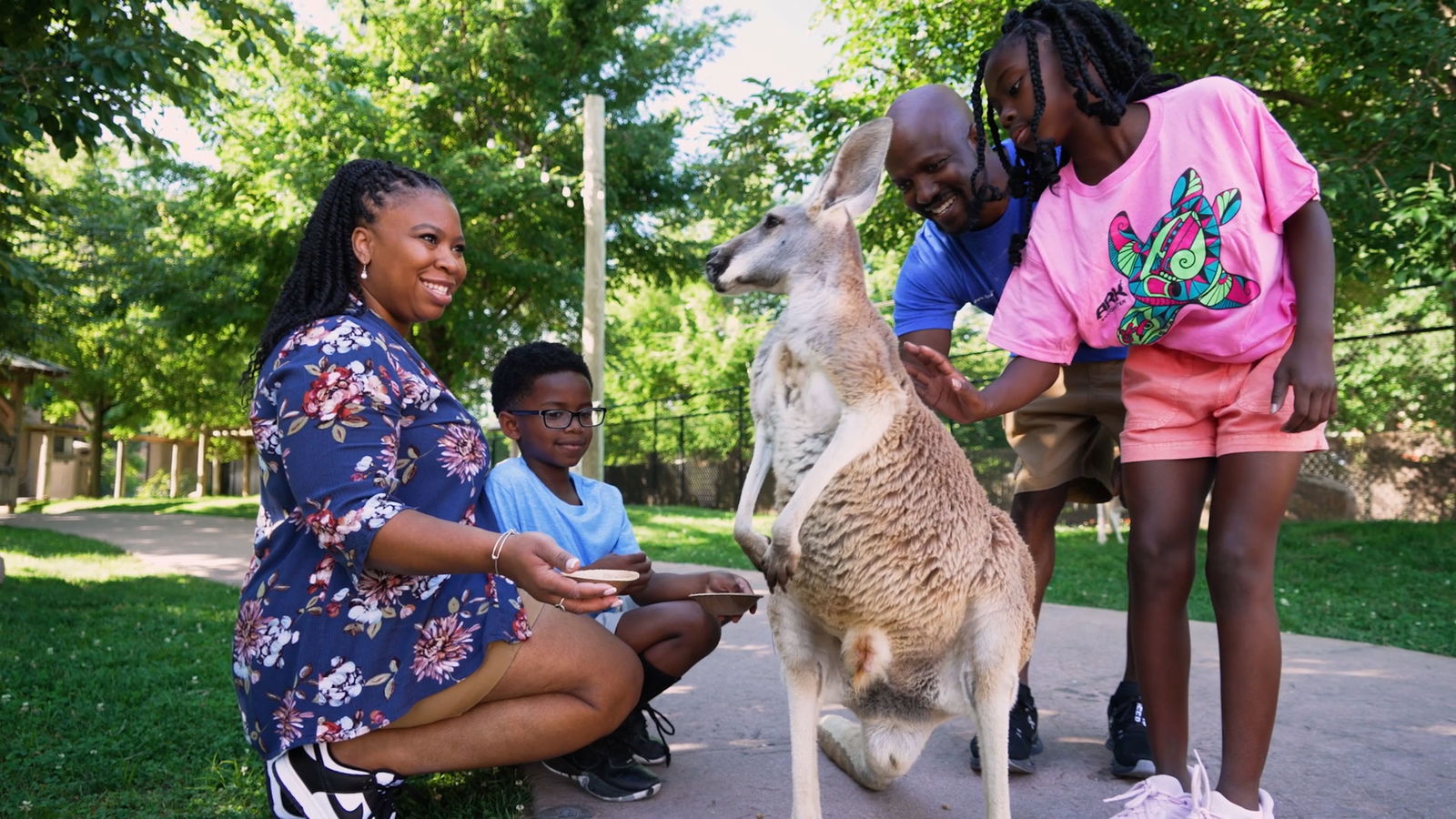 Behind-the-Scenes Macropod Experience