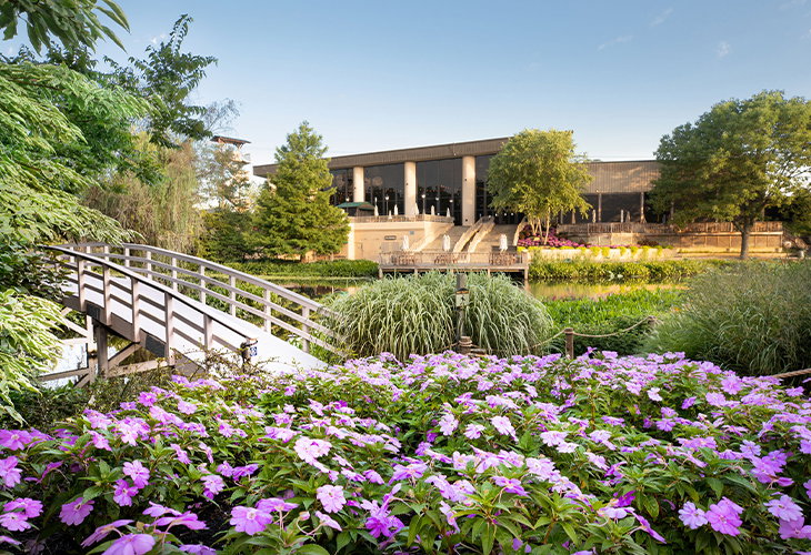 Creation Museum