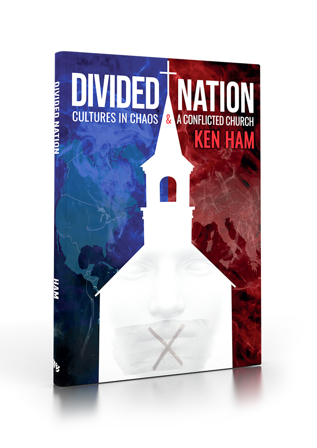 Divided Nation Free Gift