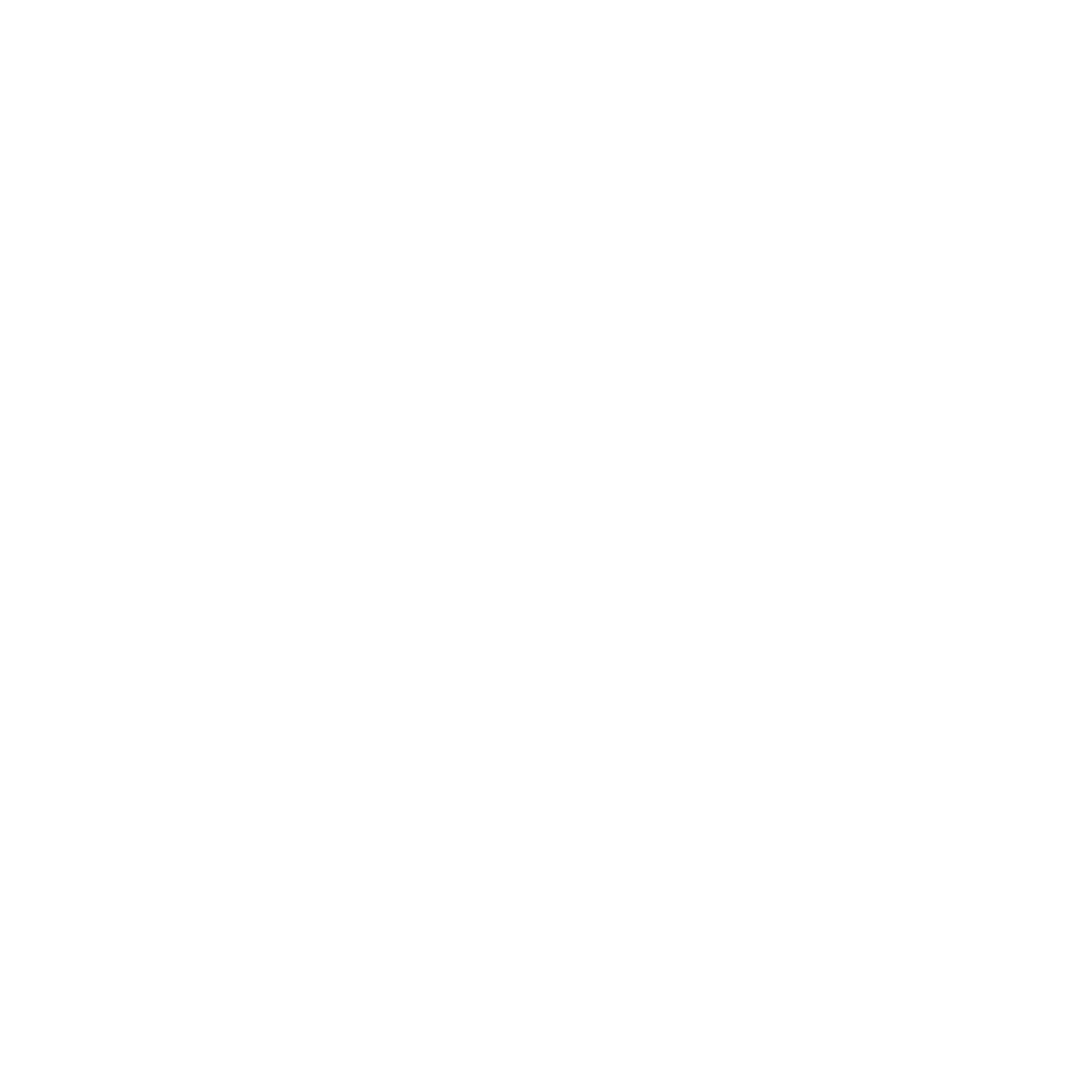 Twelve Stones Curriculum