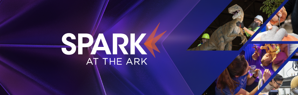 Spark at the Ark