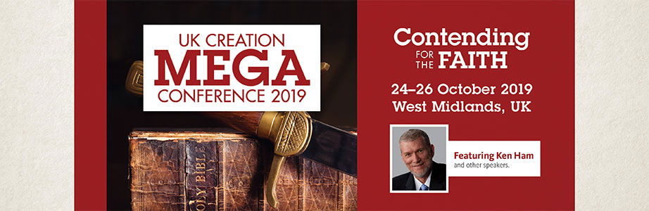 UK Creation Mega Conference 2019