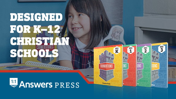 Twelve Stones Curriculum