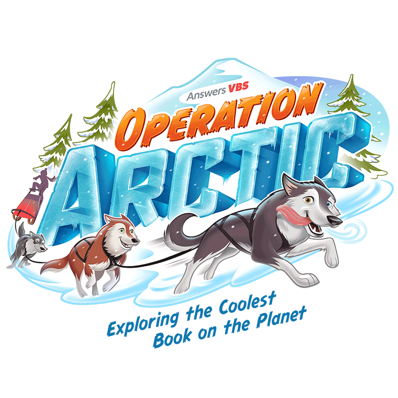 Operation Arctic