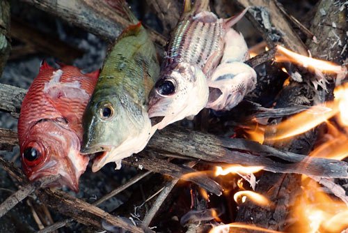 Cooking fish on the fire