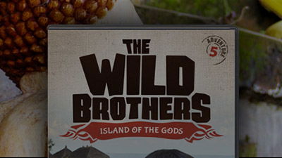 Order Wild Brothers: Island of the Gods