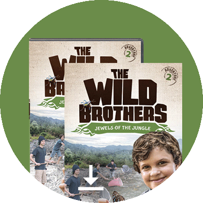 Wild Brothers: Jewels of the Jungle
