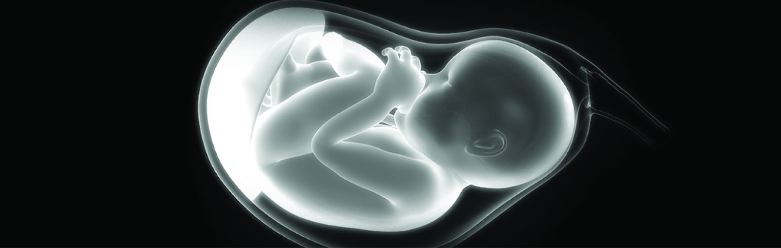 “Heartbeat Bill”