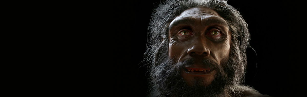 “Evolution in 90 Seconds” Video