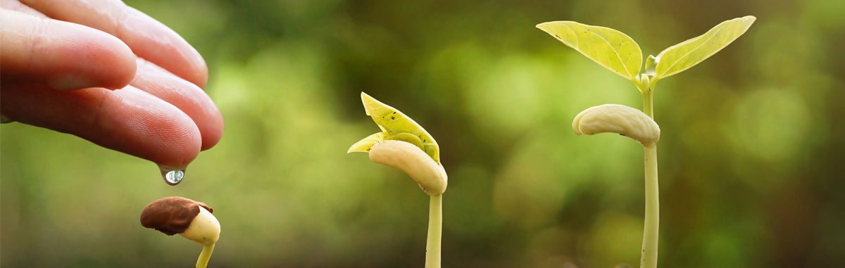 Should We Take Care of the Earth?