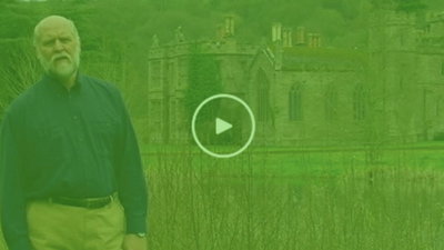 Dinosaurs & Dragon Legends