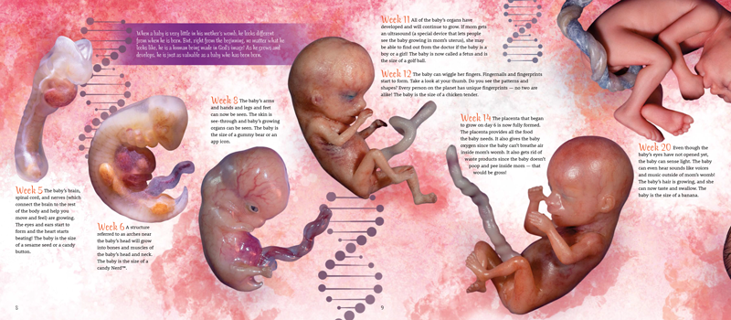 Crafted by God Spread