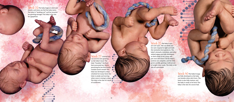 Crafted by God Spread