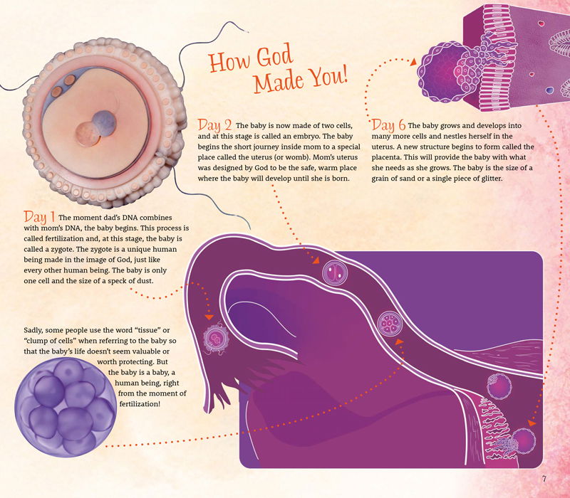 Crafted by God Spread