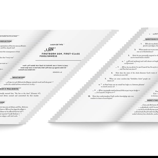 Page spread from Idiotic Things People Did in the Bible