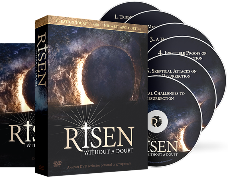 Risen: Without a Doubt