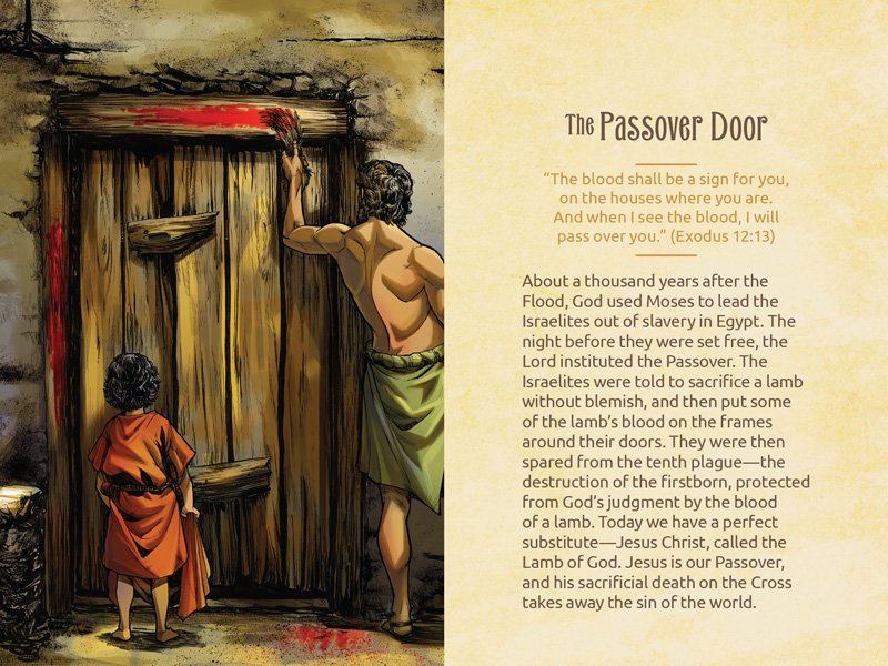 Doors of the Bible Gospel Tract (Booklet) | Answers in Genesis