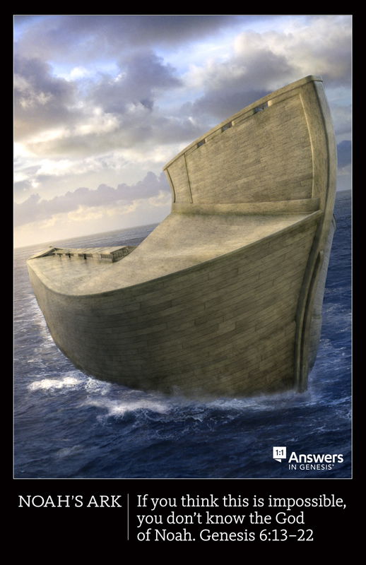 Noah’s Ark Poster (Poster) | Answers in Genesis