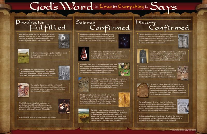 God’s Word Is True Wall Chart Answers in Genesis