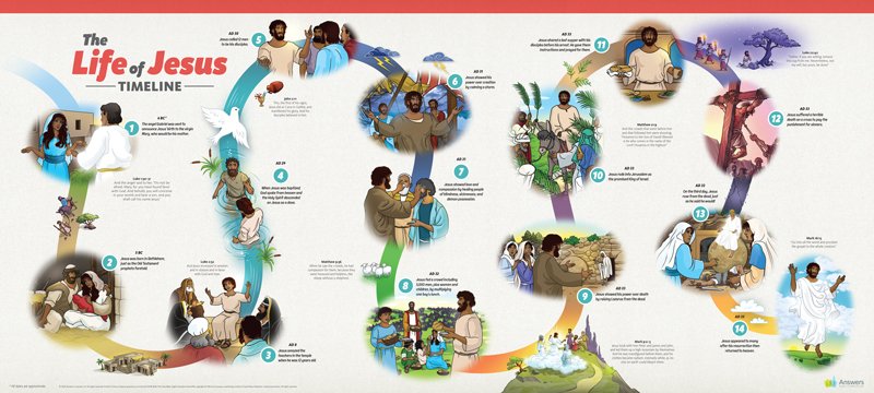 Abc Life Of Jesus Timeline Poster Poster Answers In Genesis | My XXX ...