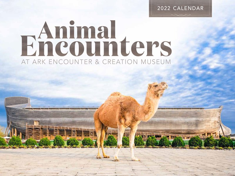 Discover 2022 Calendar 2022 Calendar: Animal Encounters (Calendar) | Answers In Genesis