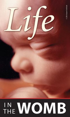 Life in the Womb Tracts