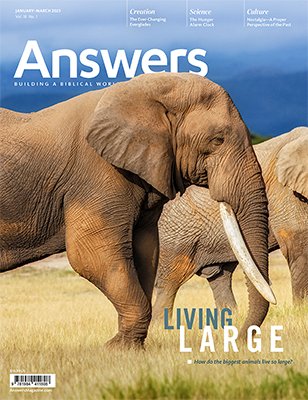 Answers Magazine, Single Issue