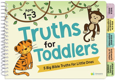 Toddler Lessons