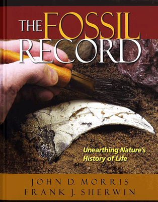 The Fossil Record | Answers In Genesis