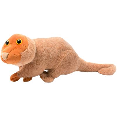 newt stuffed animal