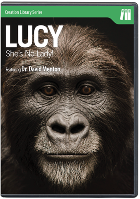 Lucy- She's No Lady!