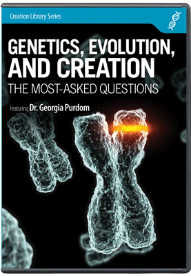 Genetics, Evolution, and Creation