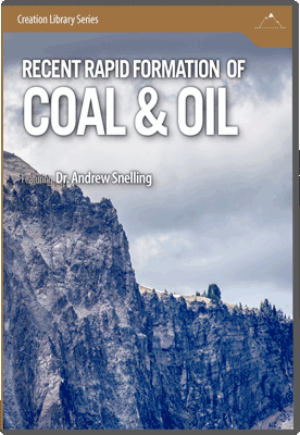 Recent Rapid Formation of Coal and Oil