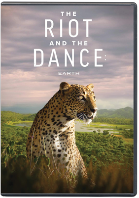 The Riot and the Dance: Earth DVD