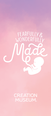 Fearfully & Wonderfully Made Pamphlet