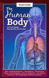 The Human Body Pocket Guide: Single copy