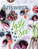 Answers Magazine, Single Issue - Vol. 12 No. 2