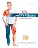 Introduction to Anatomy & Physiology: The Musculoskeletal System