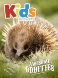 Kids Answers Mini-magazine - Vol. 12 No. 2
