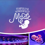 Fearfully & Wonderfully Made Book: Softcover