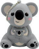 Zoomerang VBS: Koala Foam Toy