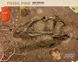 Fossil Find Puzzle: 500 Pieces