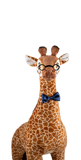 Ark Encounter Giraffe Plush: George: Medium